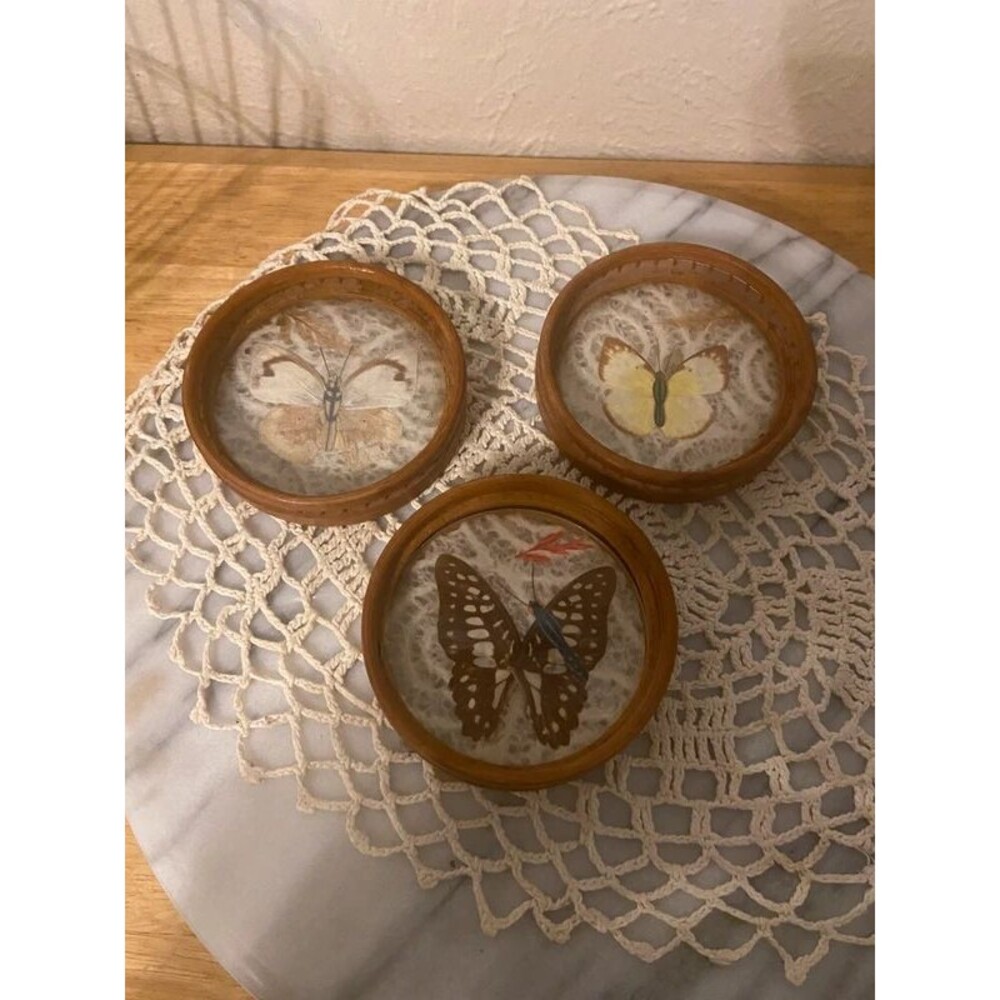 Vintage MCM Pressed Butterfly Bamboo Coasters Set of 3